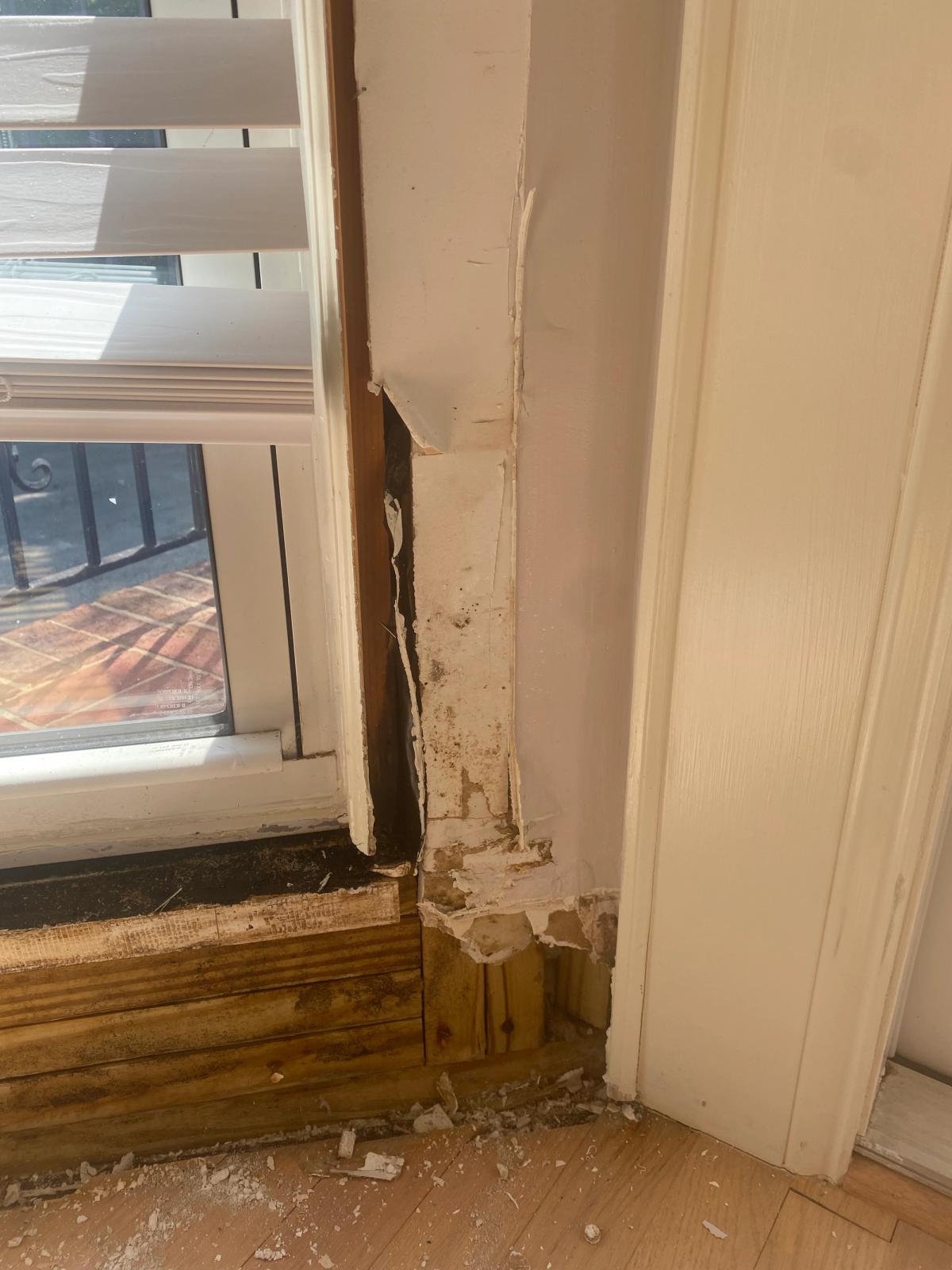 Water Damage Mitigation image 10