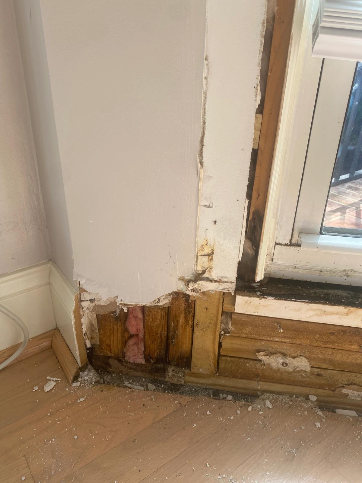 Water Damage Mitigation image 9