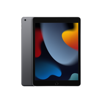 Apple iPad 10.2 9th Gen (2021)