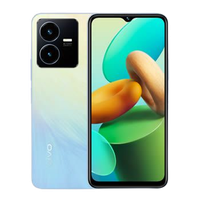 Vivo Y22s