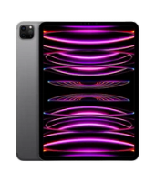 iPad Pro 11" (2022)