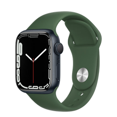 Apple Watch 7 (45mm)