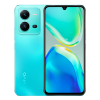 Vivo V25