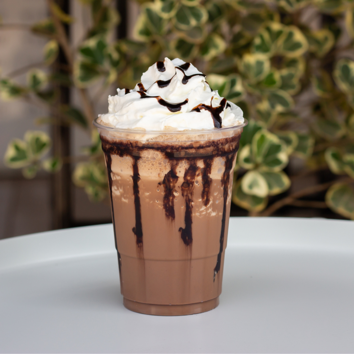 Mint Chocolate Chip Protein Mocha