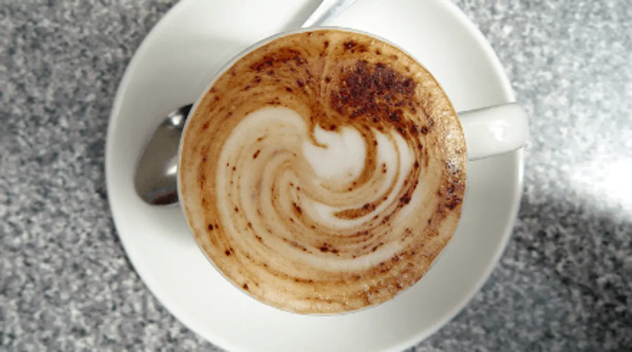 Javvy's House Cappuccino