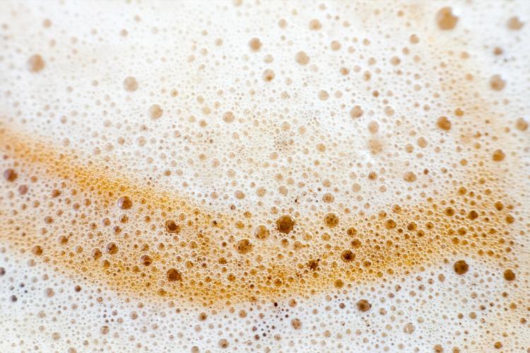 How To Make Foam for Coffee: Lattes, Sweet Foam, and More 