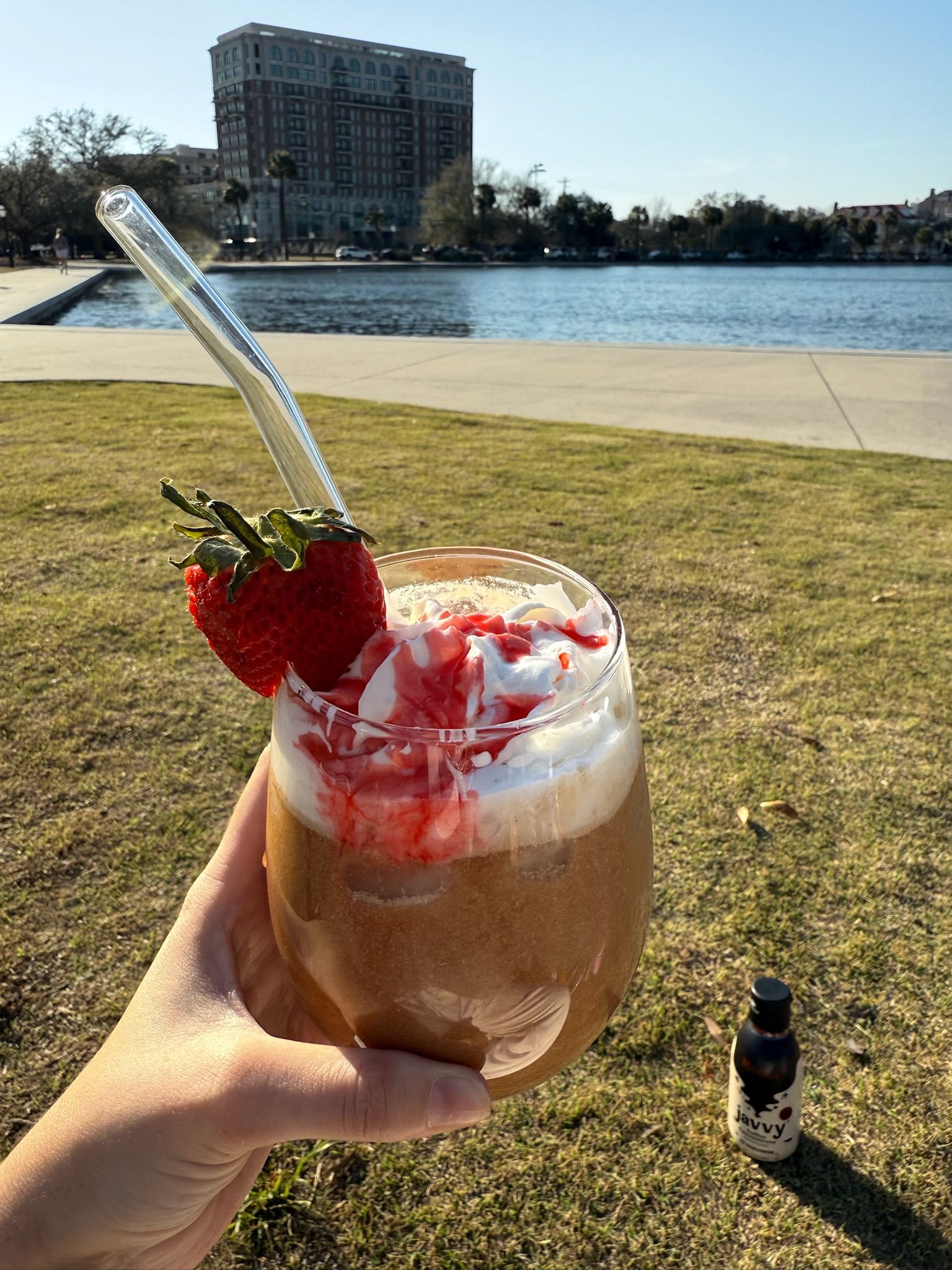 Strawberry Mocha Smoothie