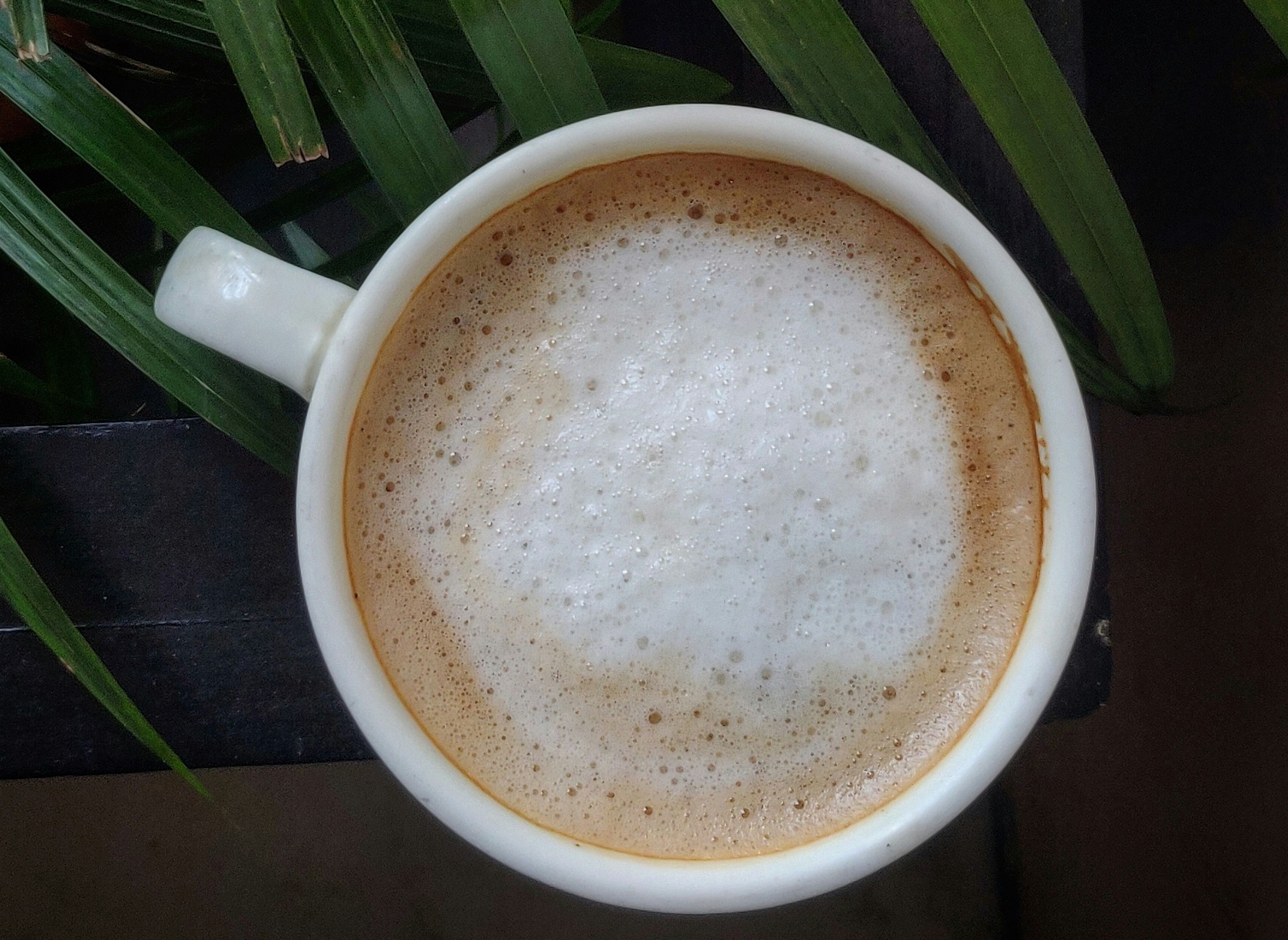 What Is Milk Foam? Foam vs Froth vs Cold Foam Explained