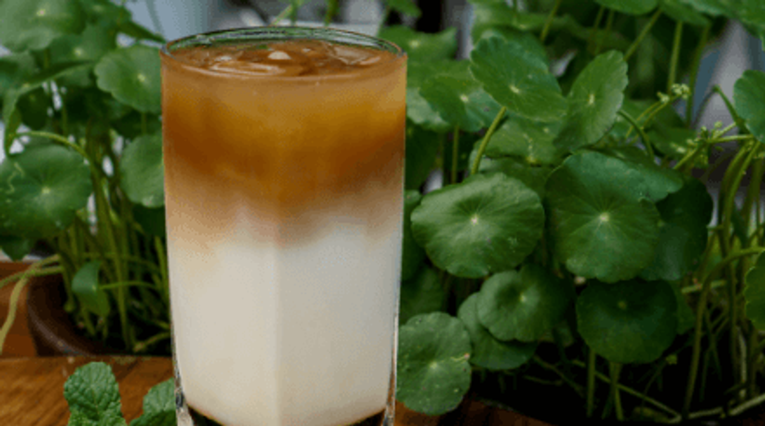 Vietnamese Iced Coffee - Wild Wild Whisk