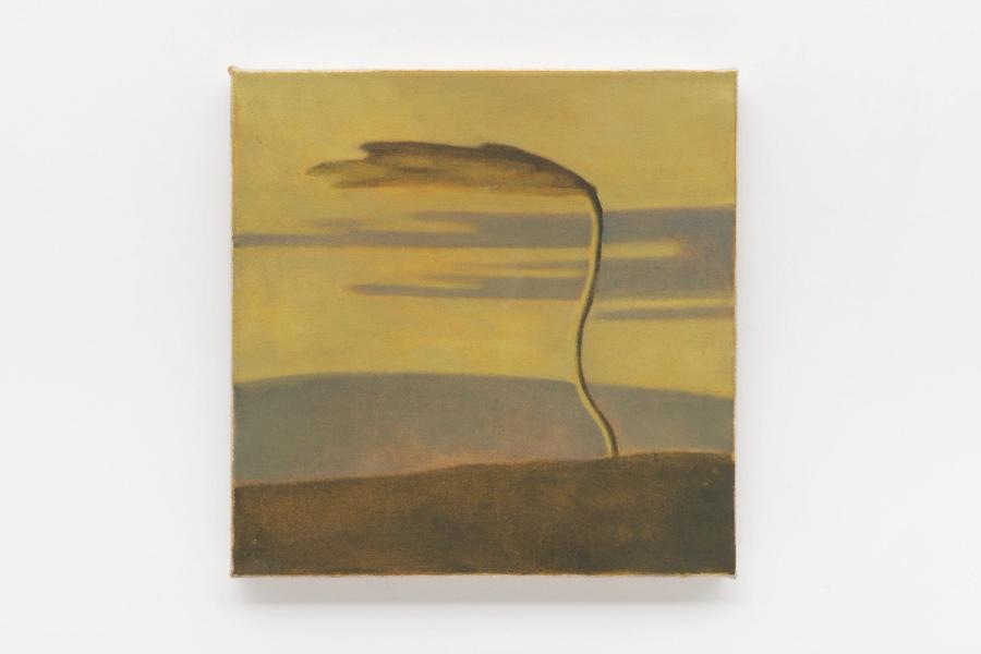 Céu de areia, Anthony Mazza