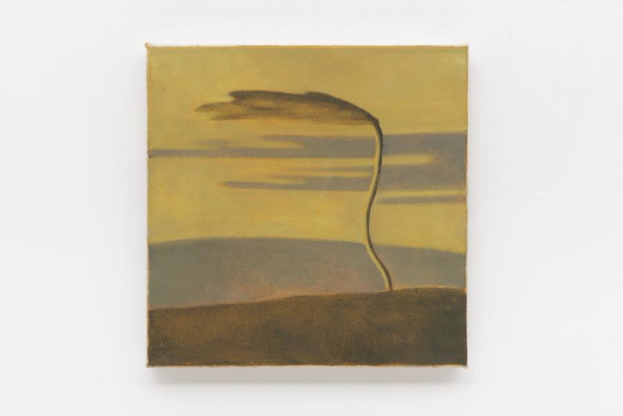 Céu de areia, Anthony Mazza