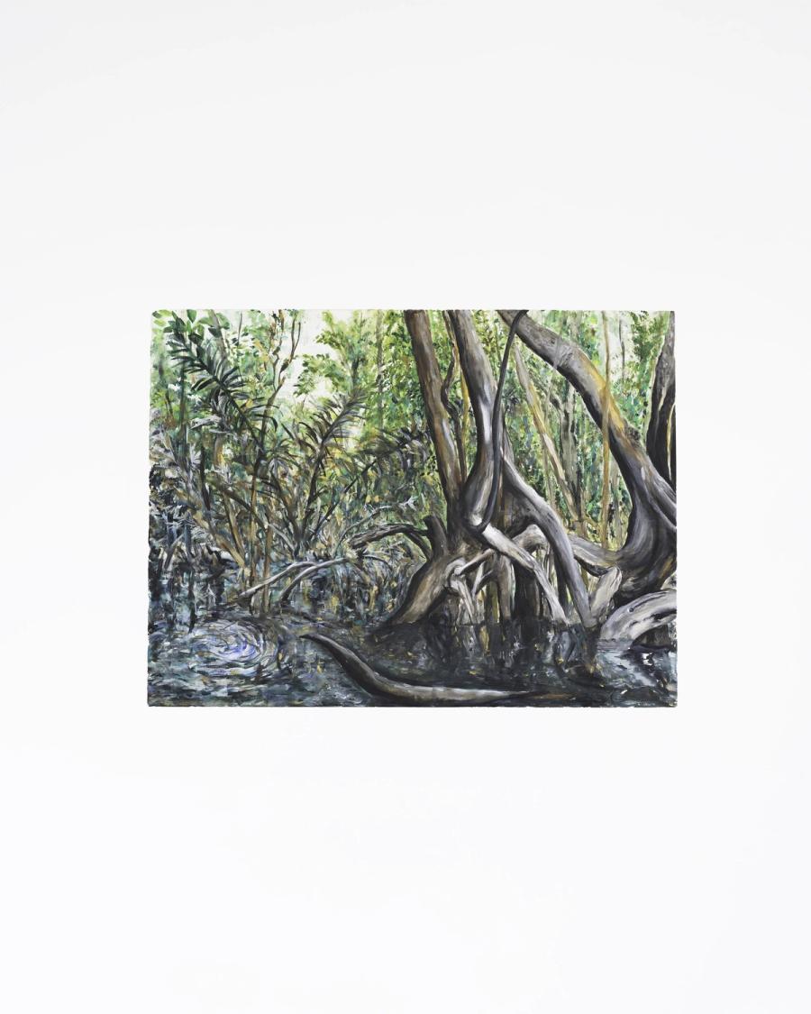 Mamirauá #6, Hugo Fortes