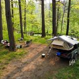 Un pick-up con una tenda da tetto aperta in un campeggio nel bosco