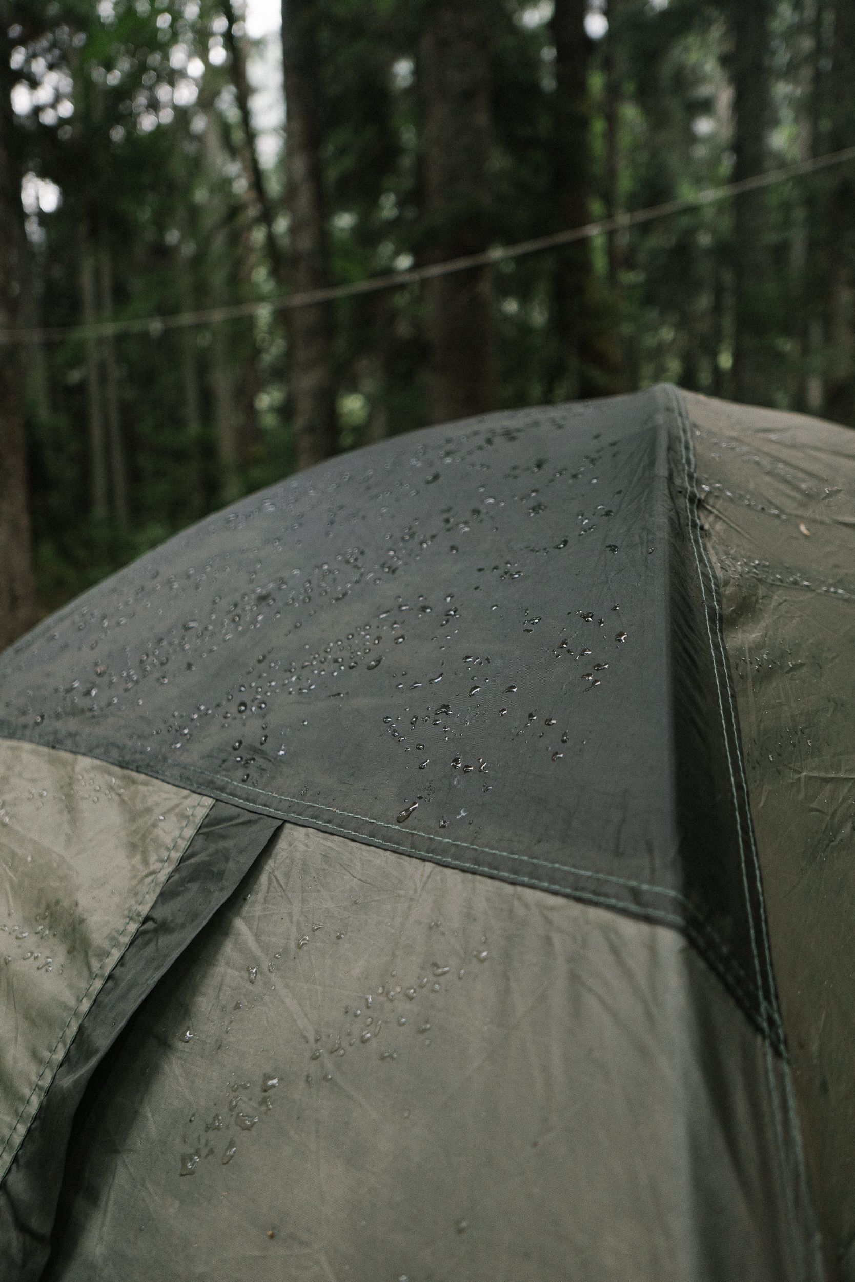 Gocce di pioggia sul tessuto bagnato di una tenda nel bosco