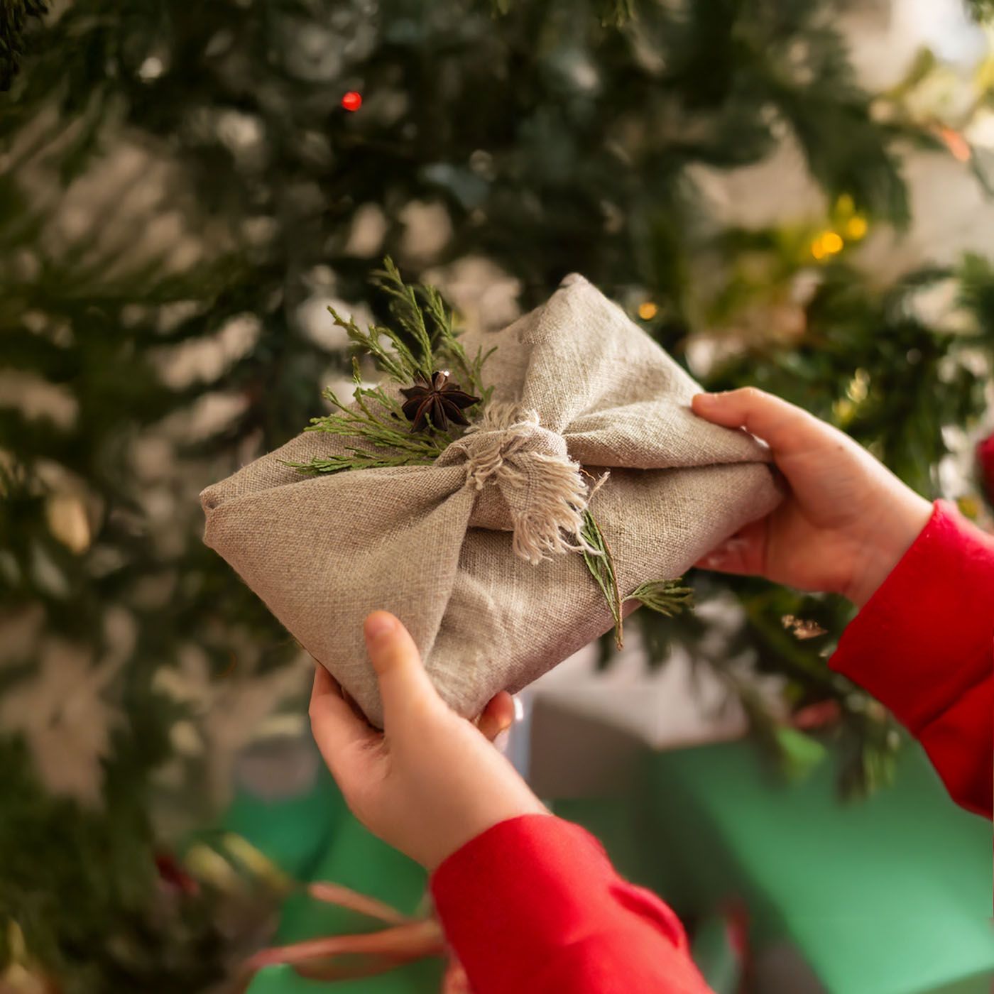 Hands holding a gift wrapped in reusable fabric with natural greenery and star anise, in front of a decorated Christmas tree.