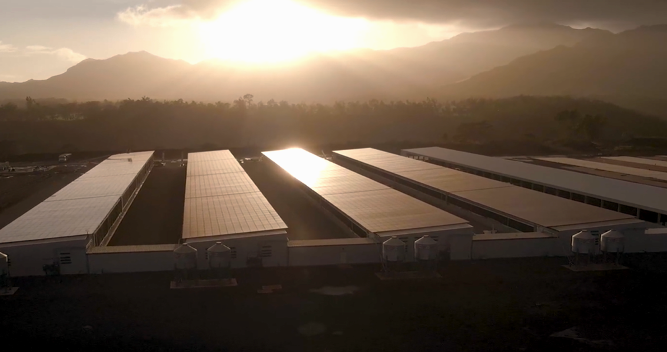 Solar Panel on Kaukonahua Solar + Sheep Farm