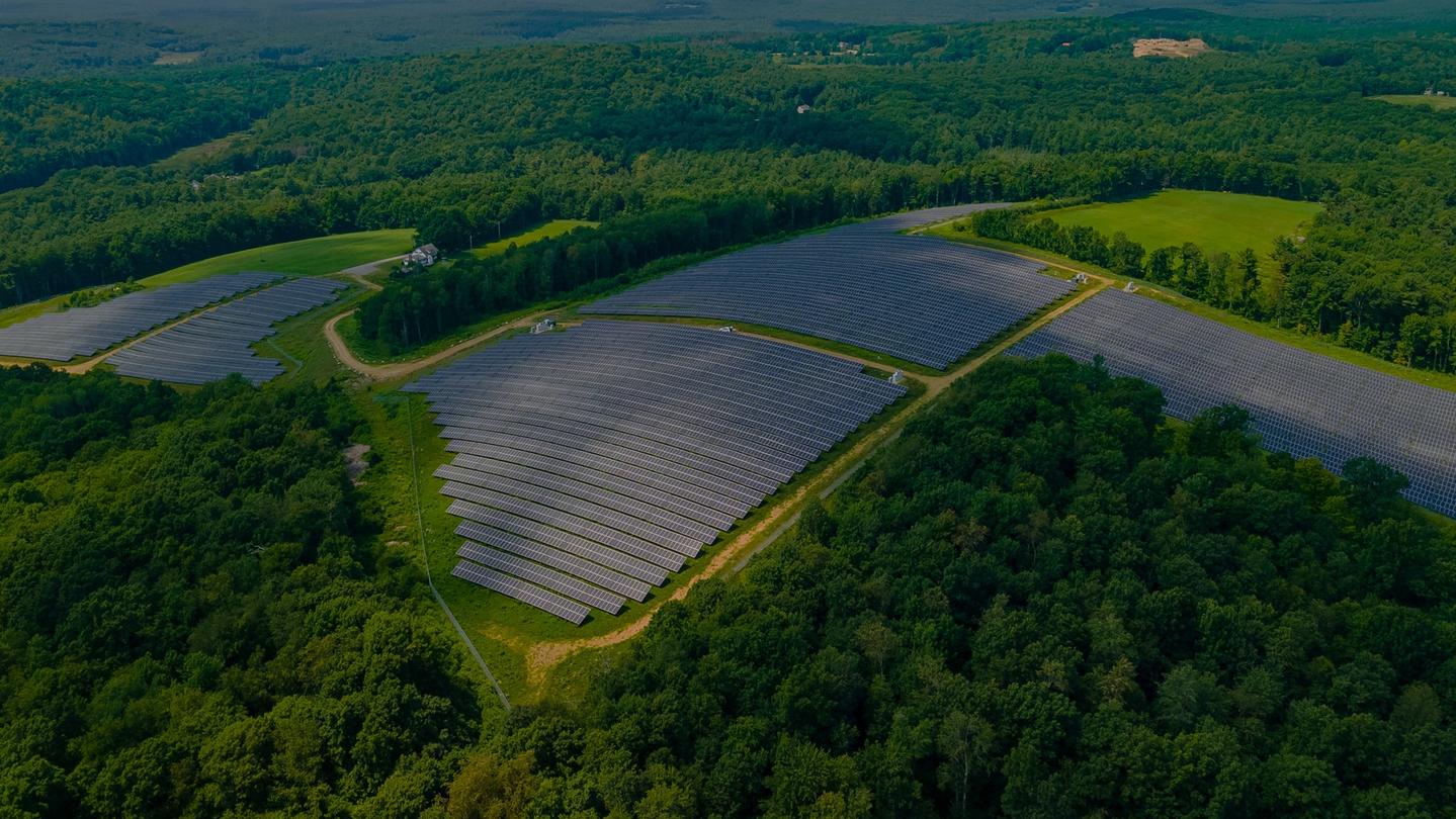 Solar panels and trees