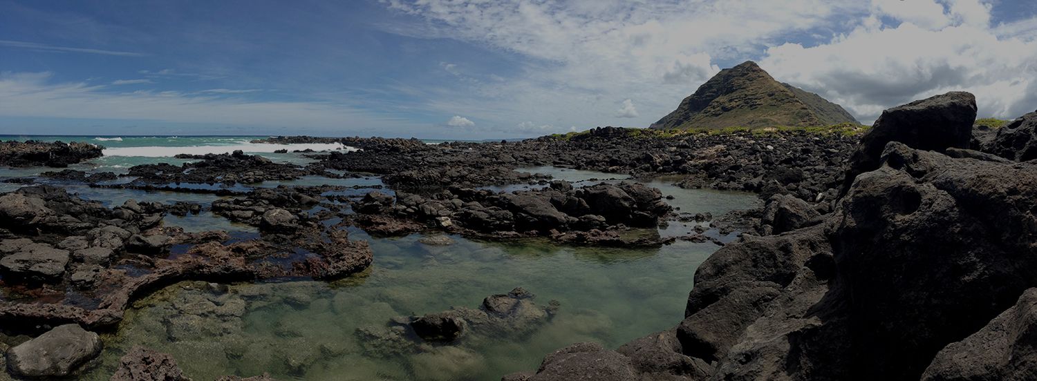 Hawaii coast