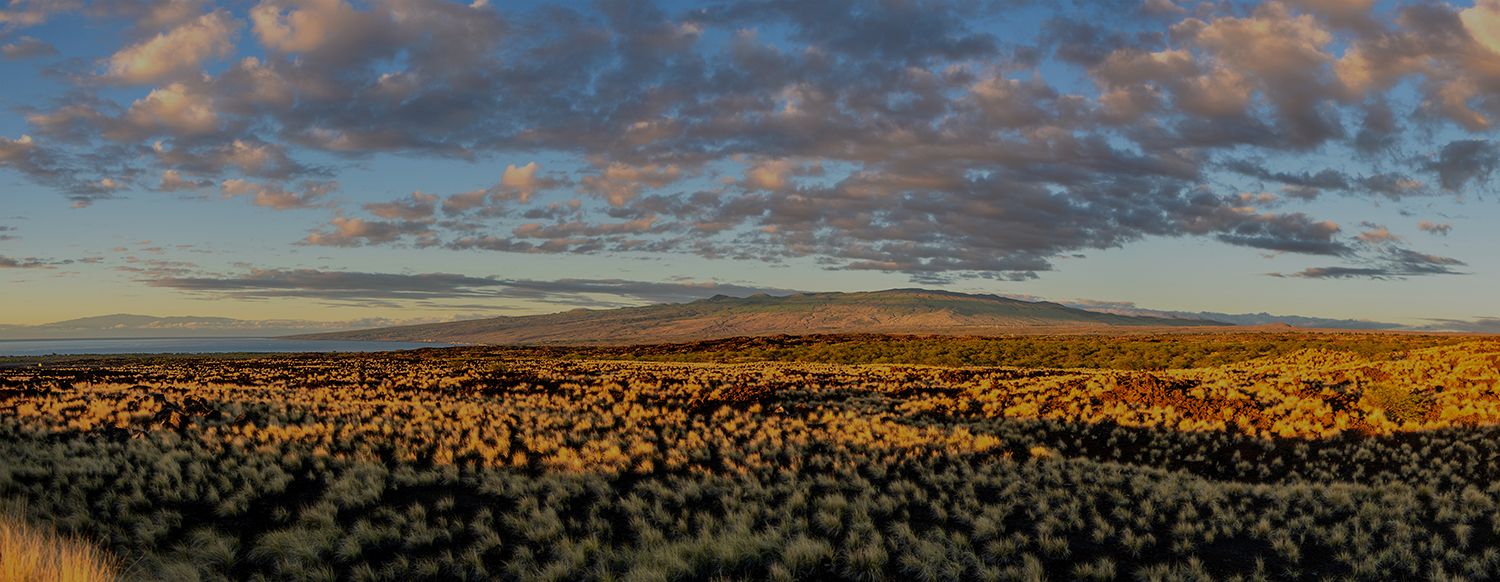 Overhead Solar Panels