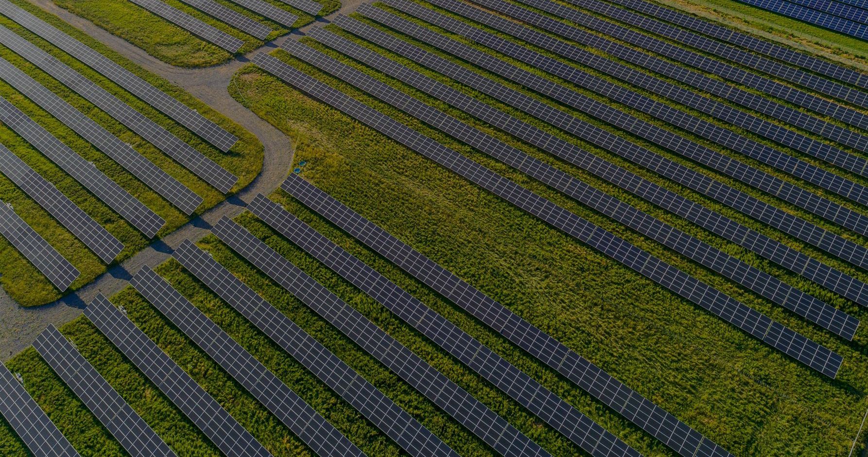 Lawn with solar panels on them