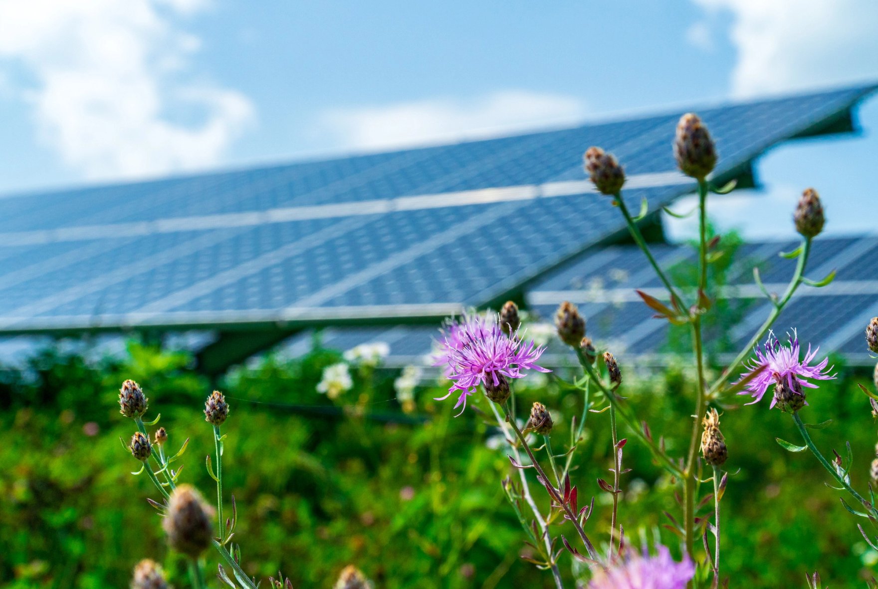 MicrosoftTeams-image-21