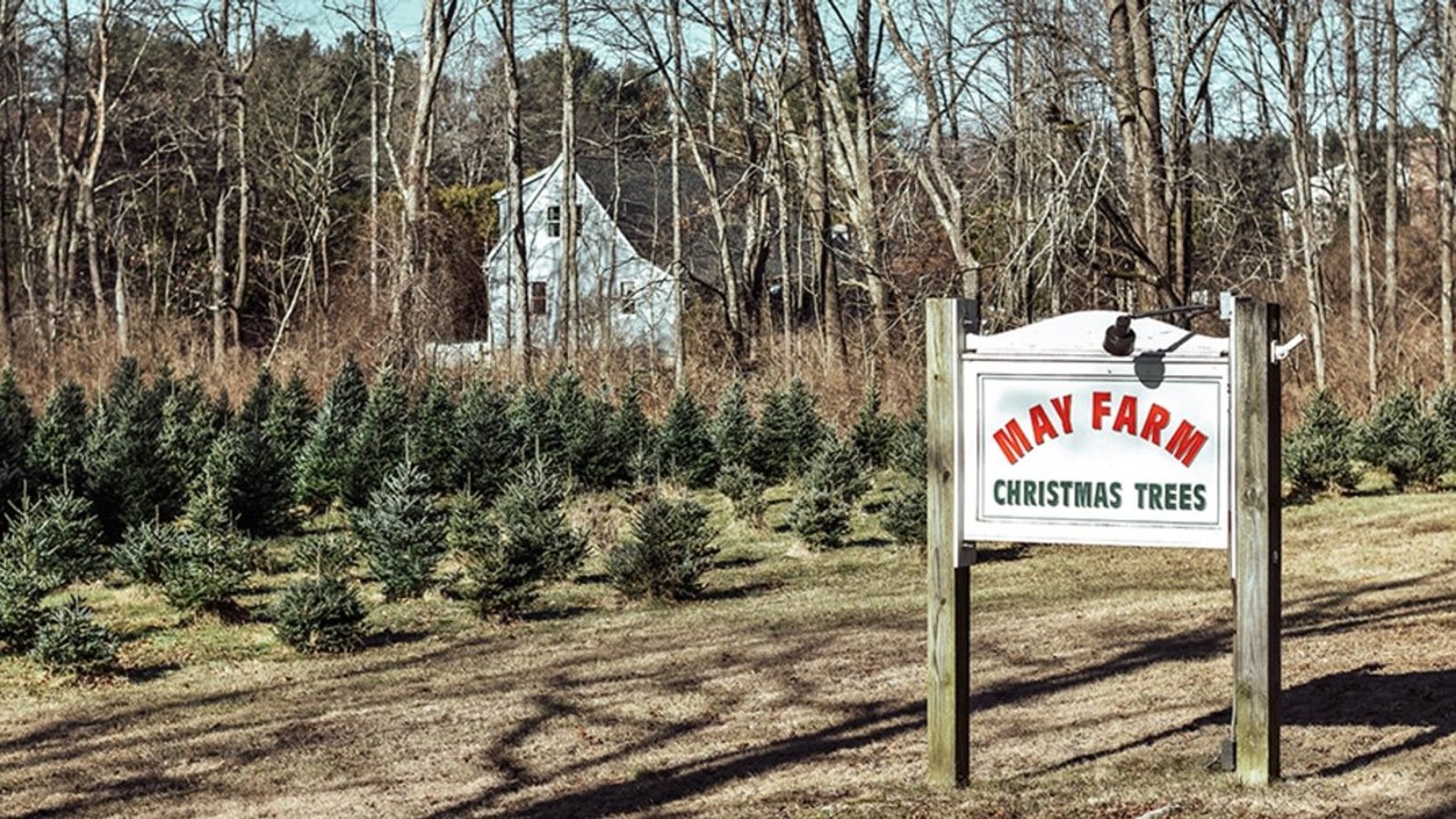 D9EC7991-E668-4CC0-AC21-E7BDE3D56090_1_201_a