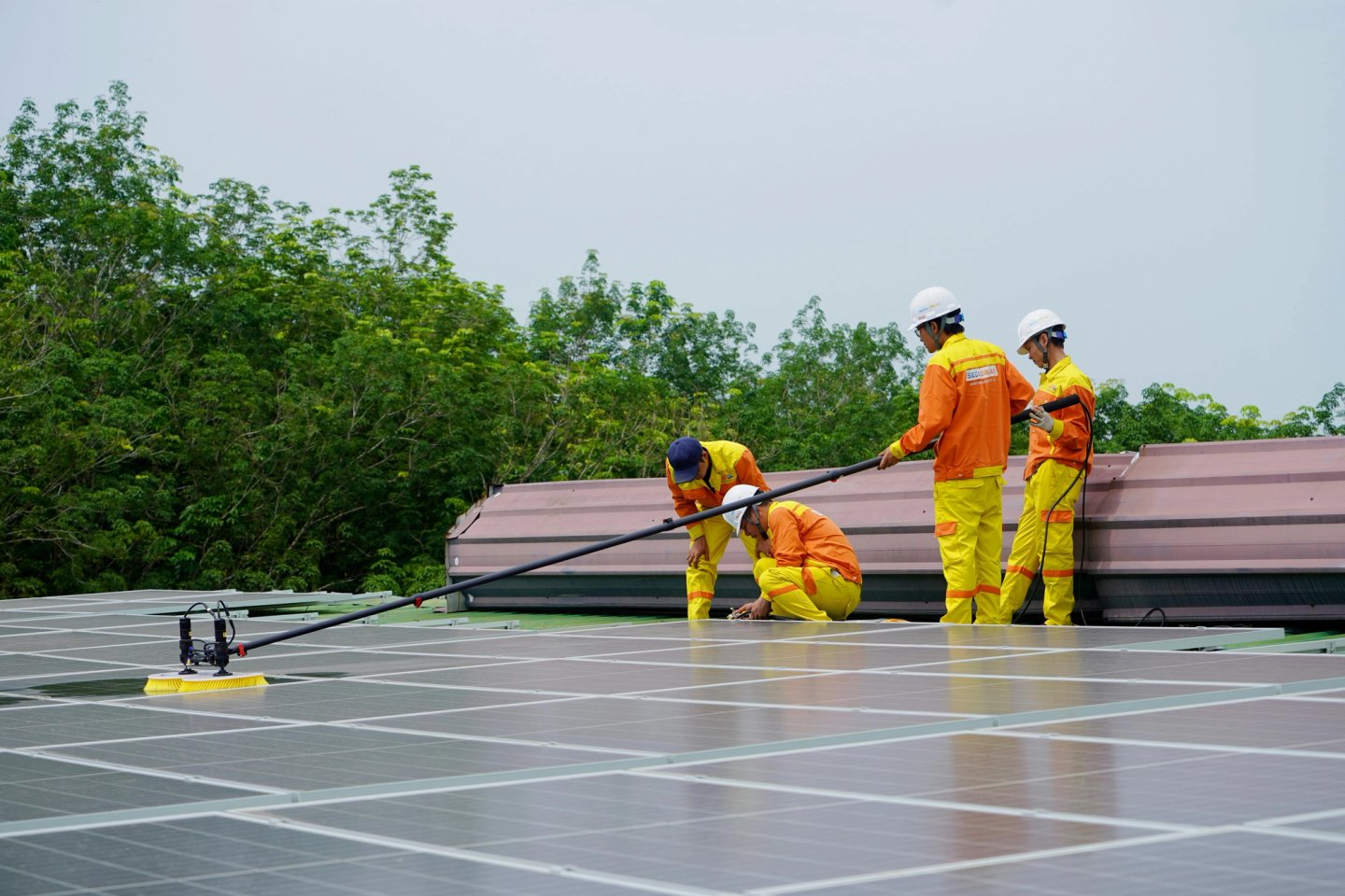 solar panel cleaning