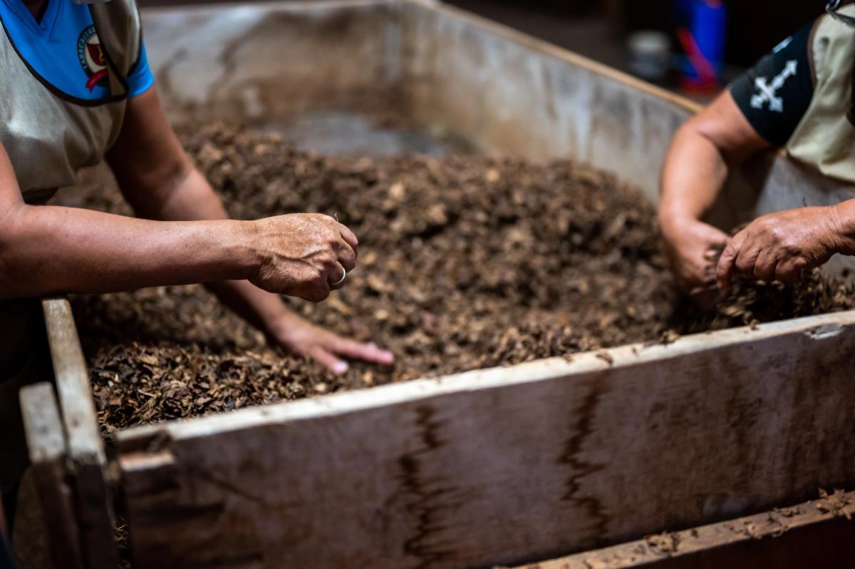 Sustainability at home: A beginner's guide to composting