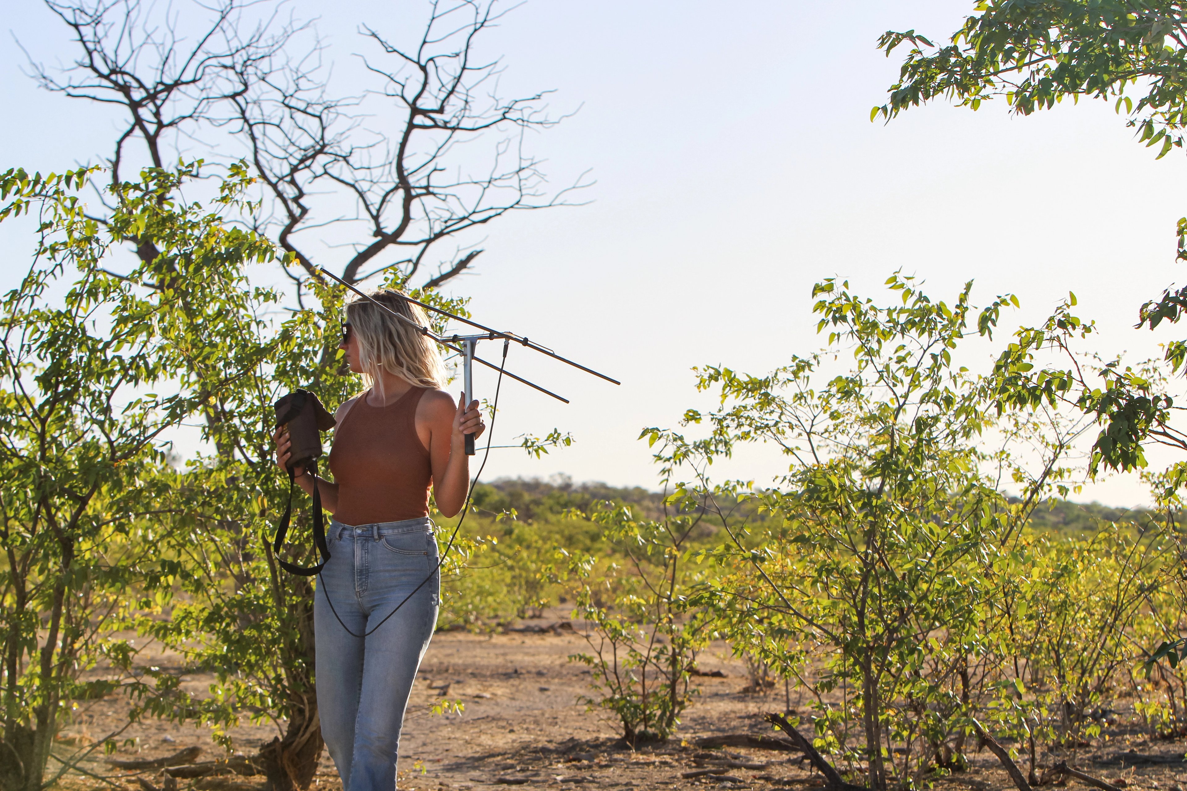 The Science Behind Your Safari