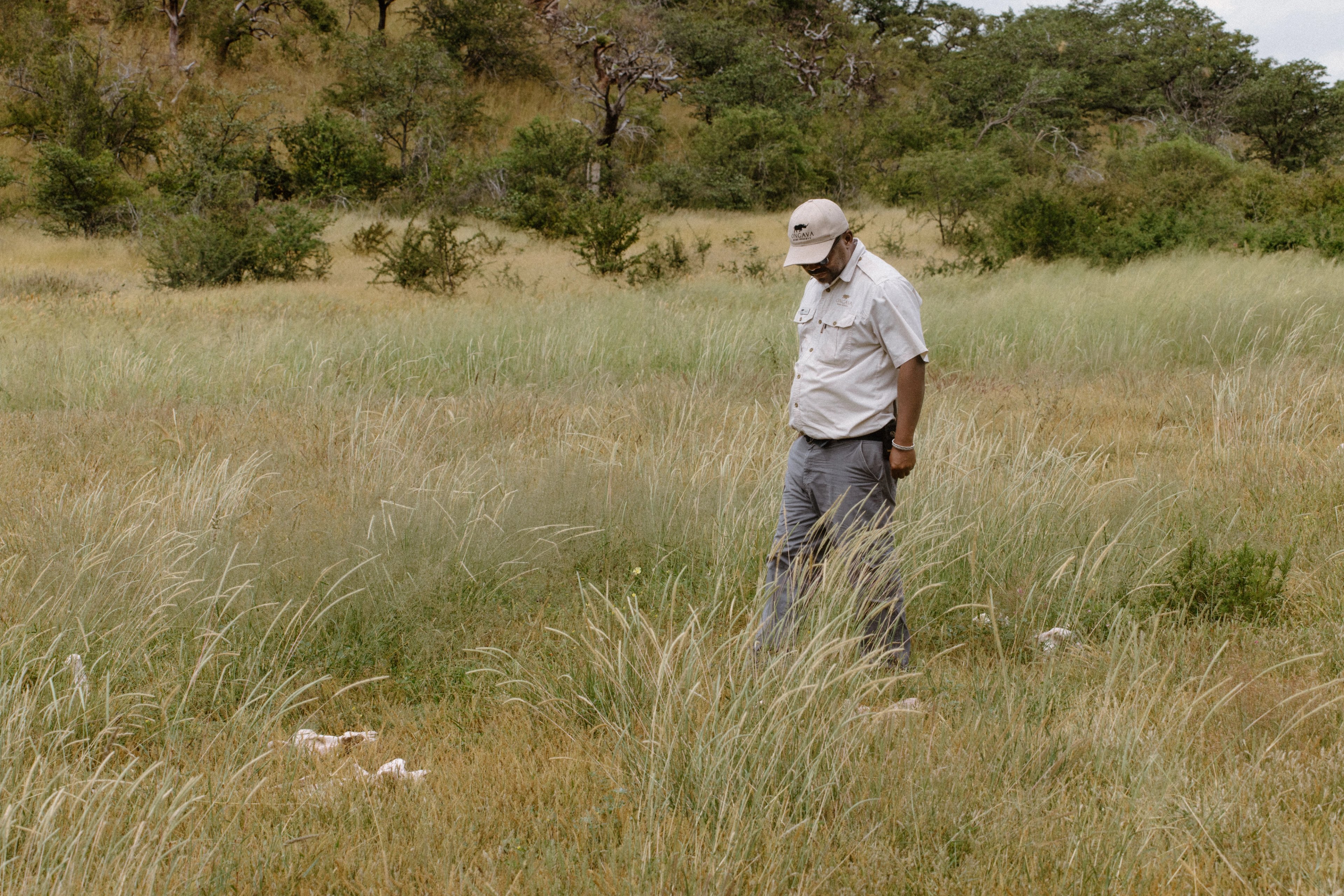 Stanley carefully scans the ground, searching for tracks and signs of wildlife
