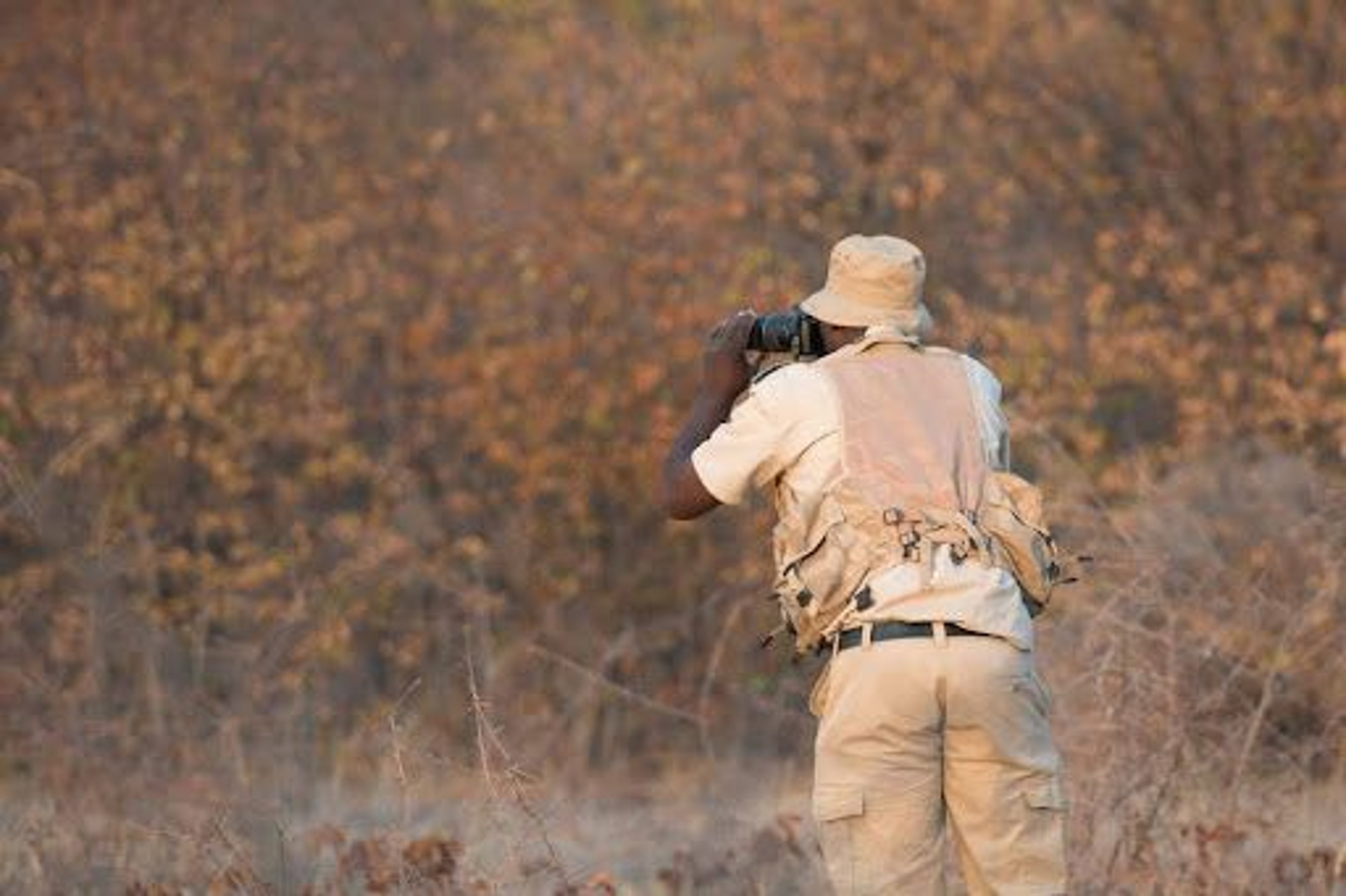 Guardians of the Wild: Conservation at Ongava