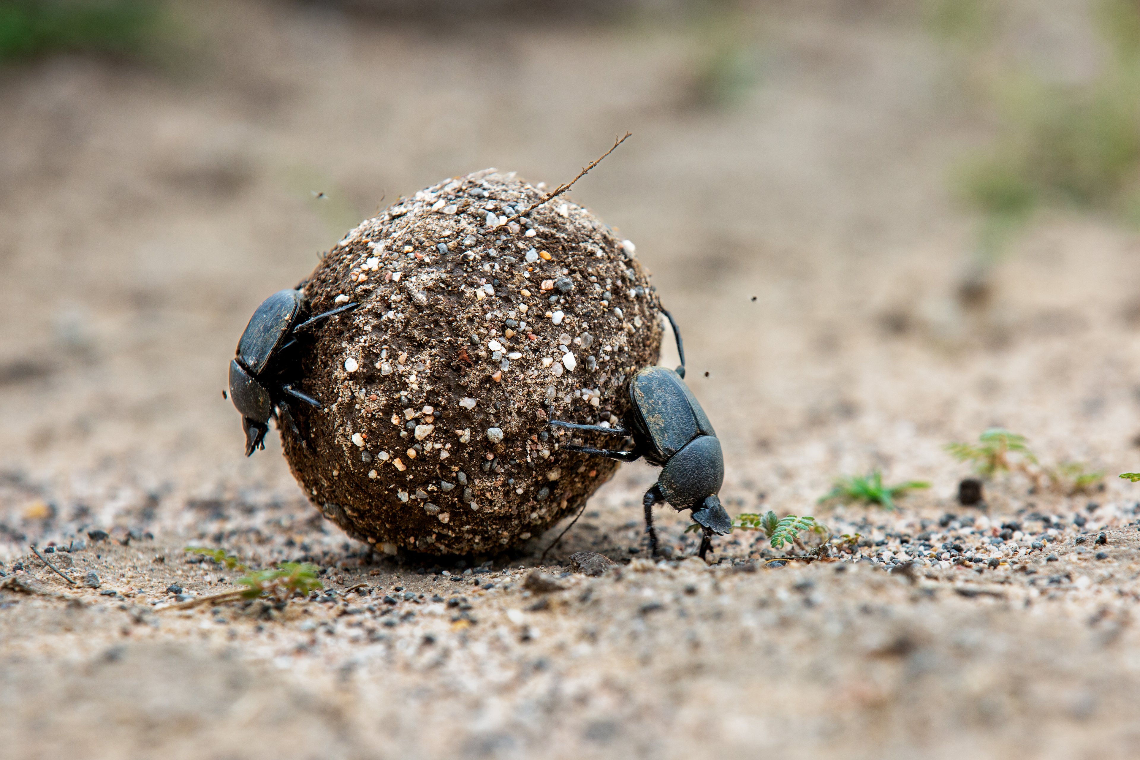 Learn The Lessons Of An Ancient Land