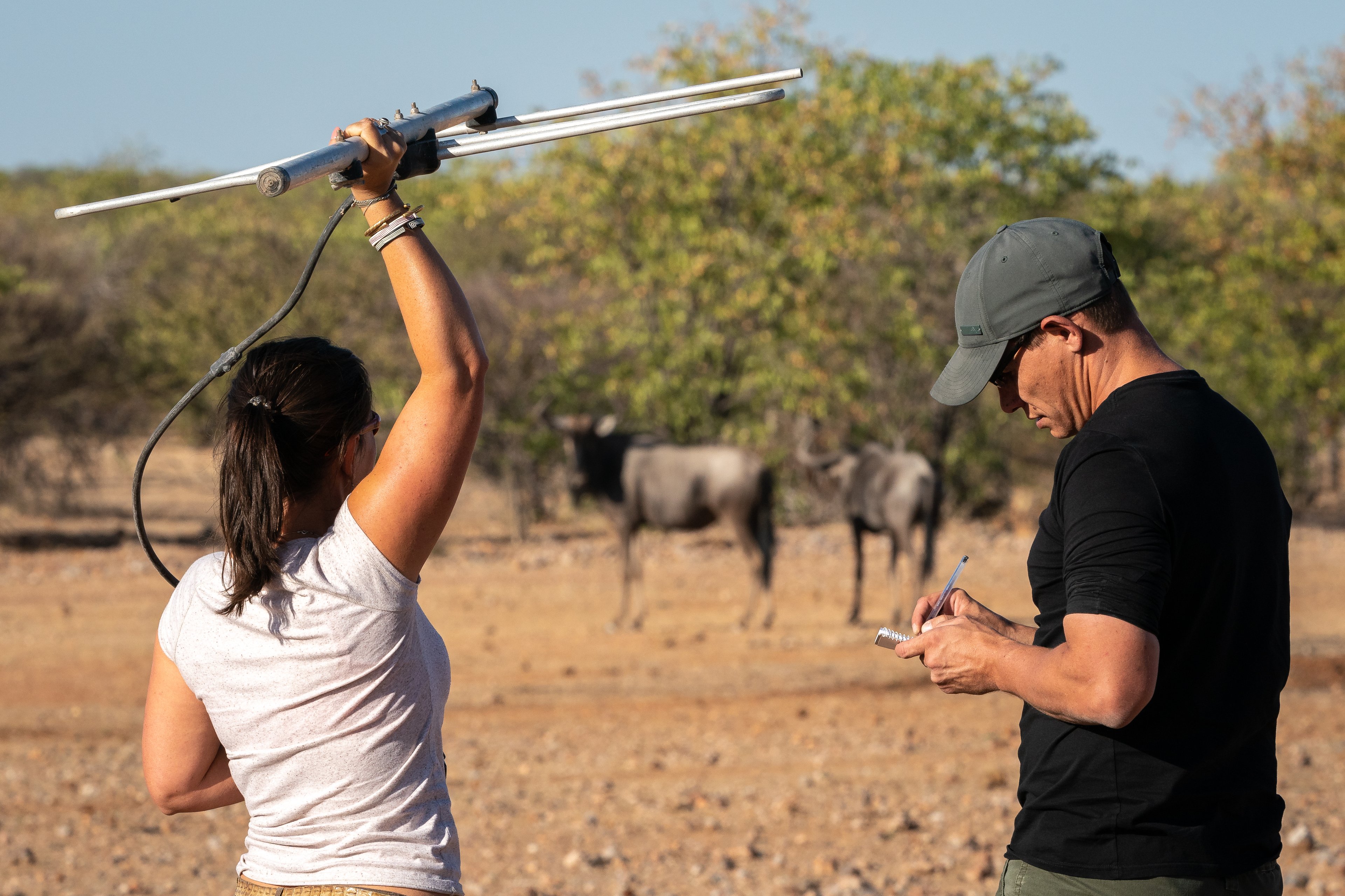 At Ongava, you can blaze a new trail of knowledge by exploring the bush on foot.