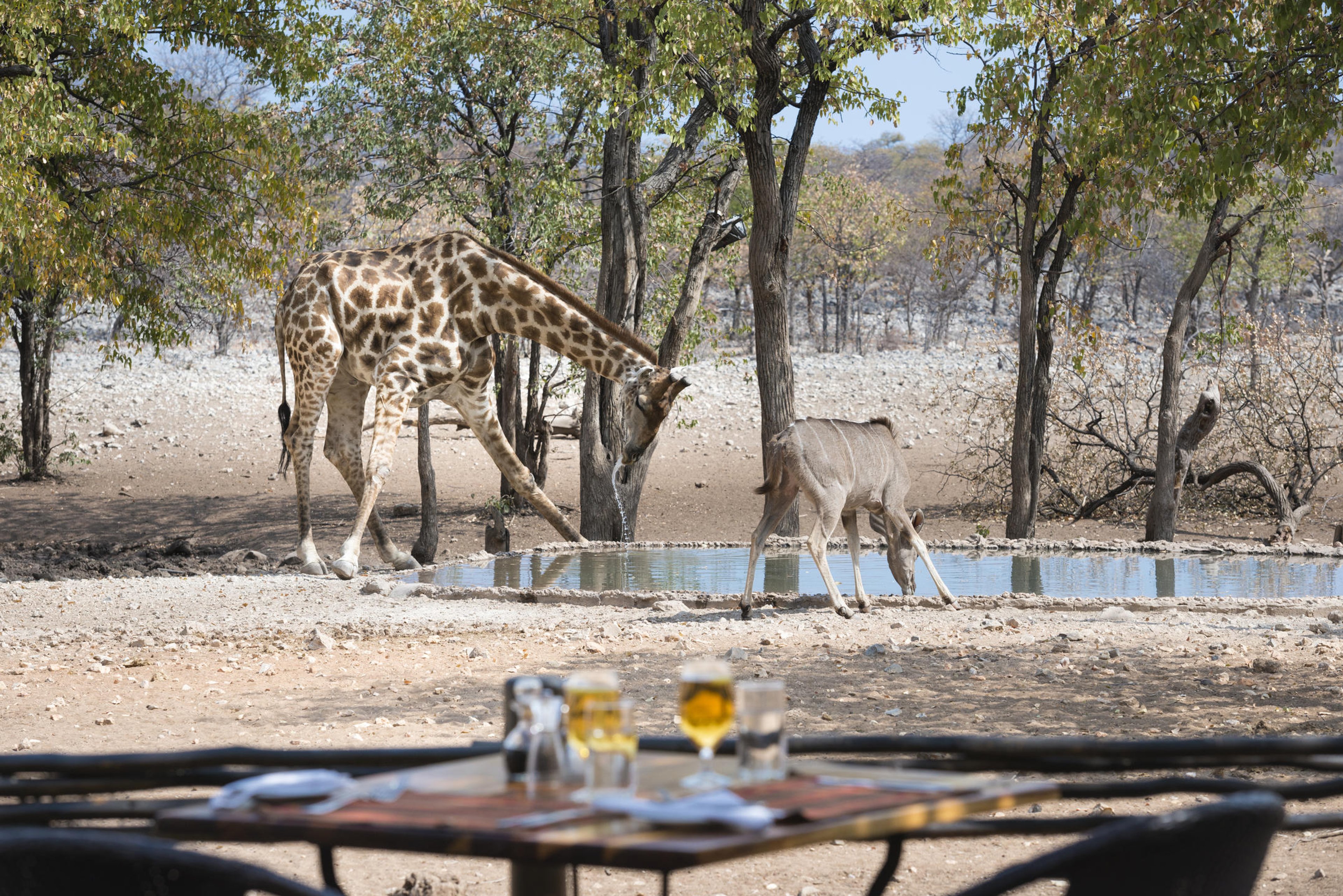 Waterholes & Views