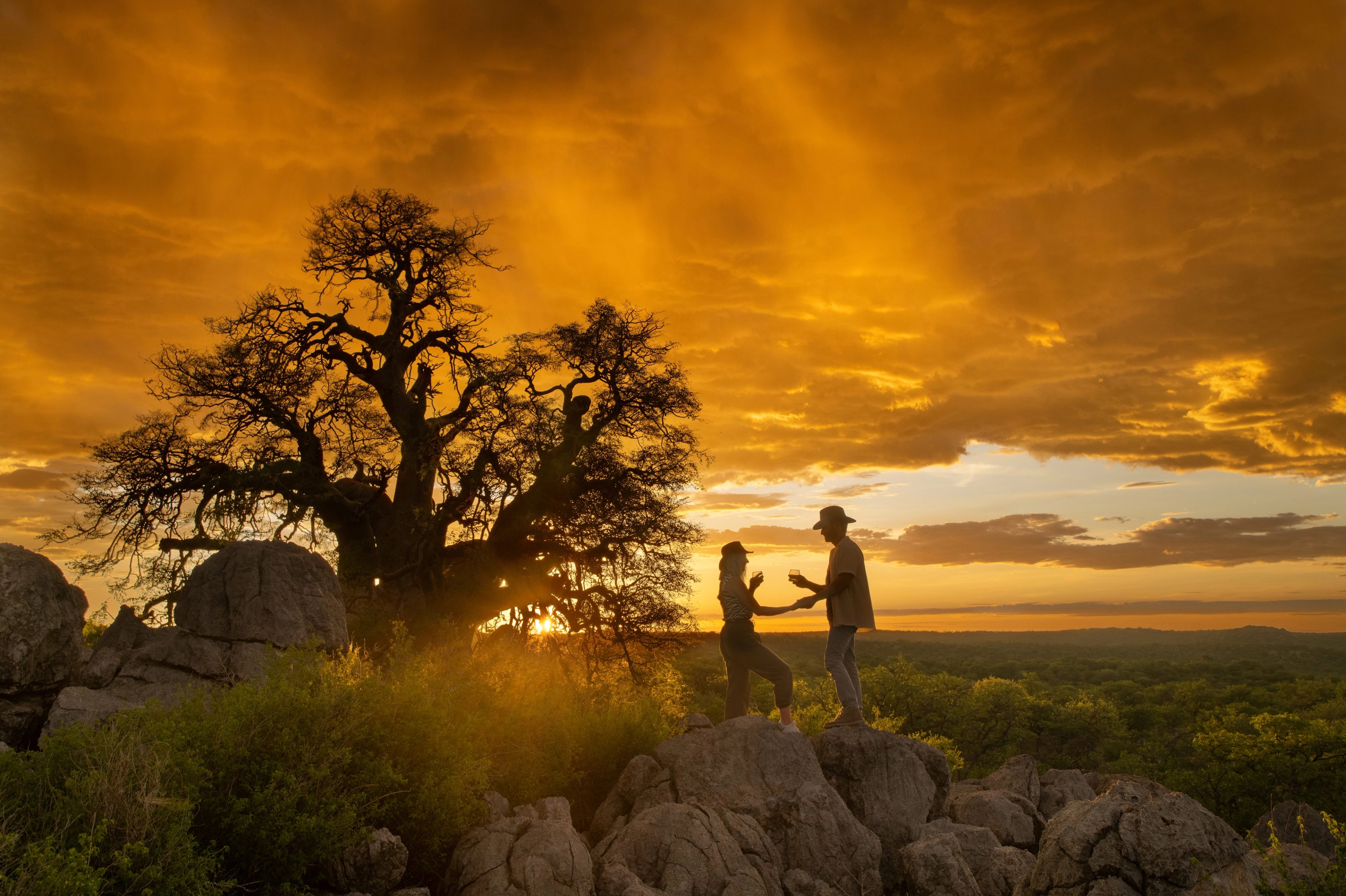 A couple shares a quiet moment beneath the Moringa tree as the Namibian sunset paints the sky in warm hues, a perfect ending to the immersive experience.