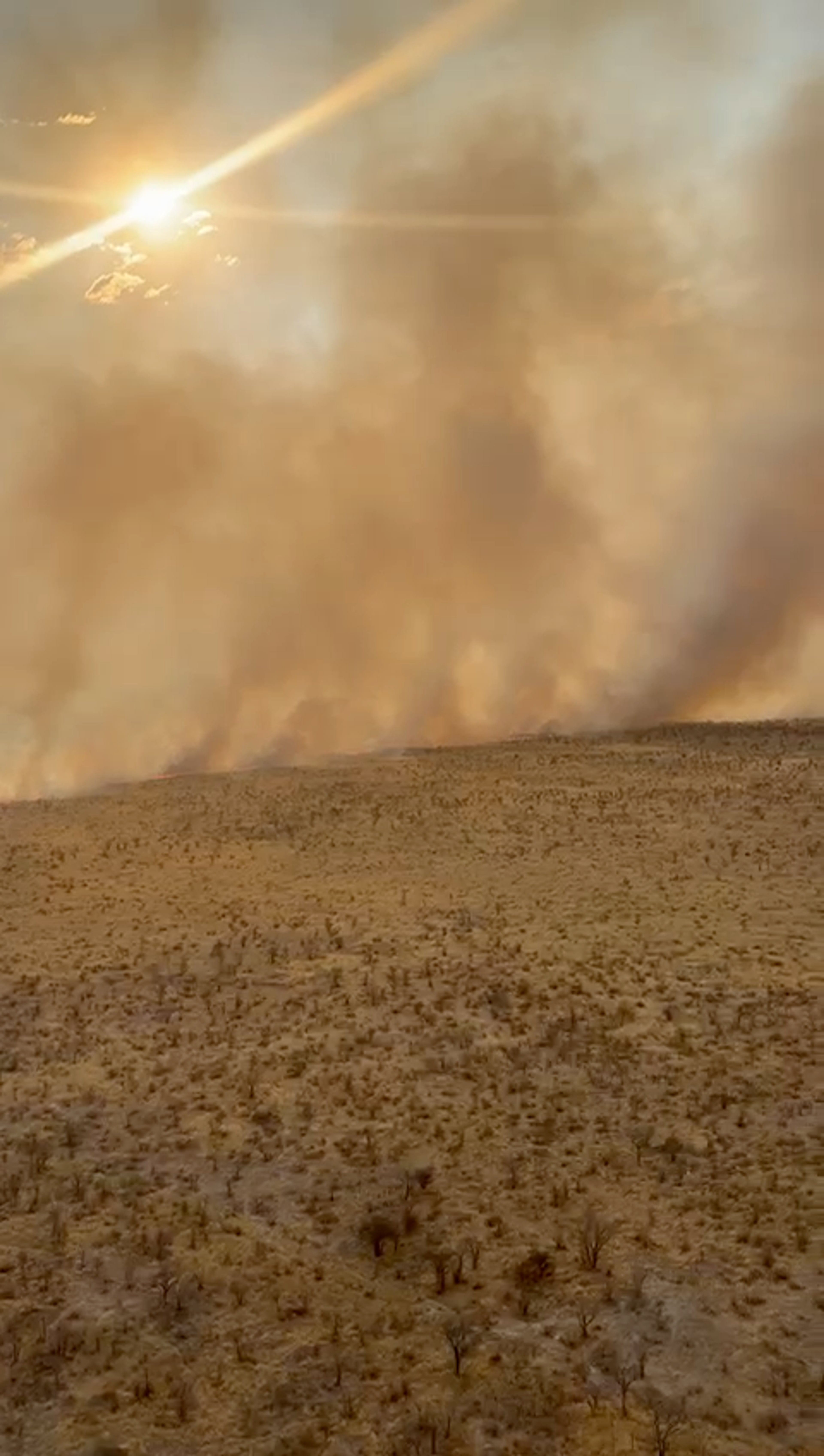 Fires in Etosha: A Season of Smoke and Strength