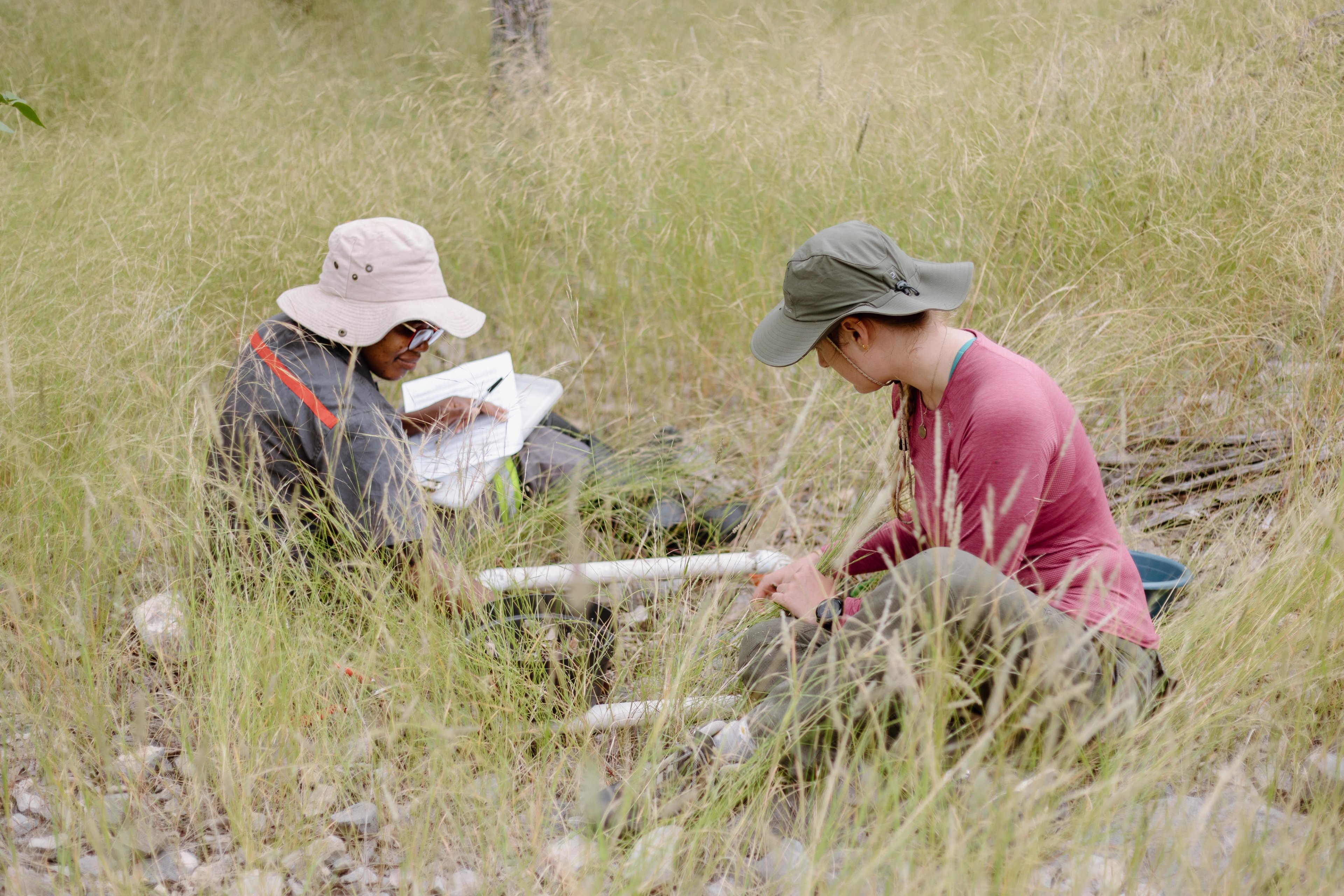 Beyond the guest experience, dedicated researchers from the Ongava Research Centre work in the field, building knowledge that strengthens conservation efforts for the future.