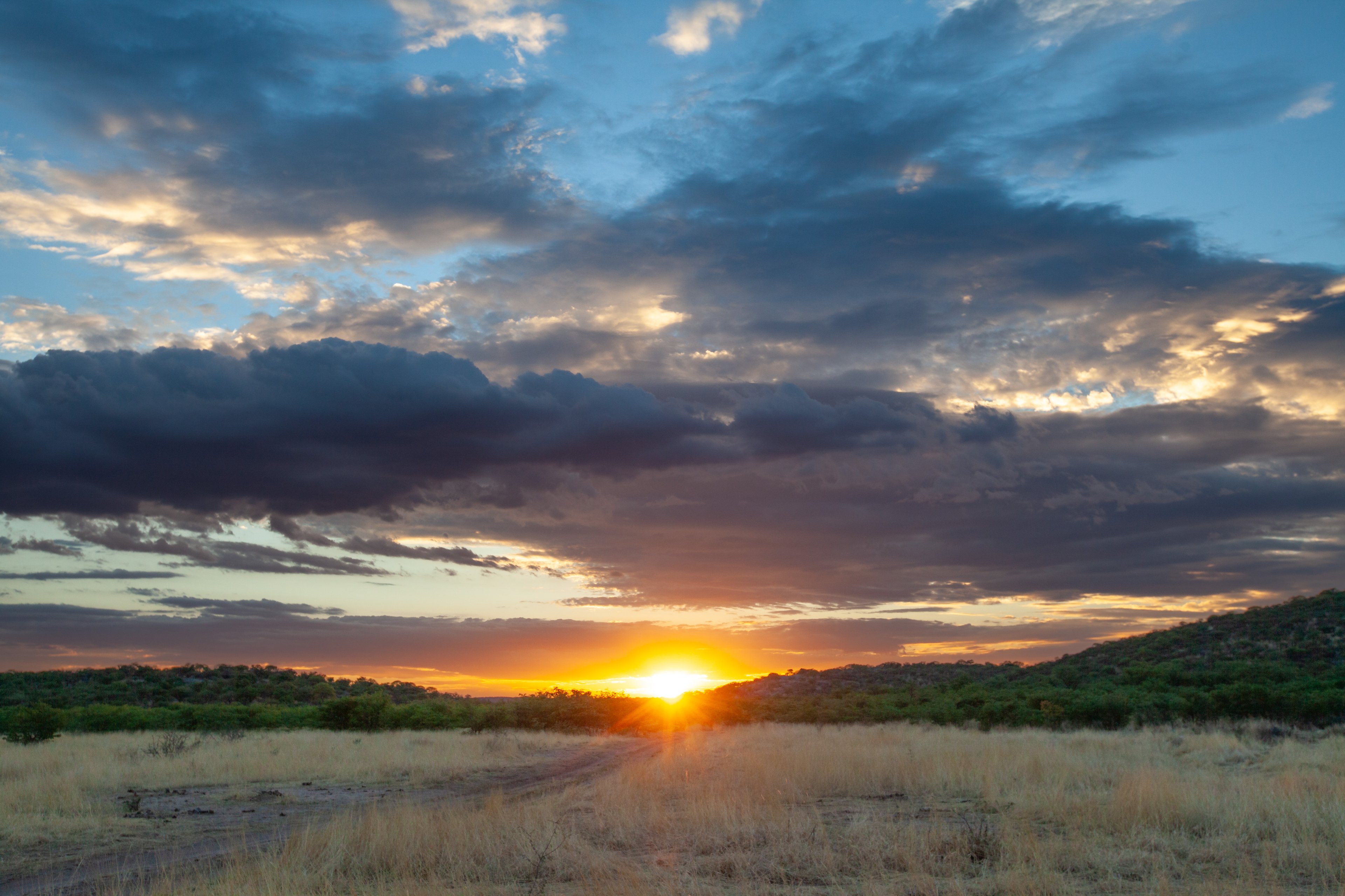 Sunset in the Ongava bush
