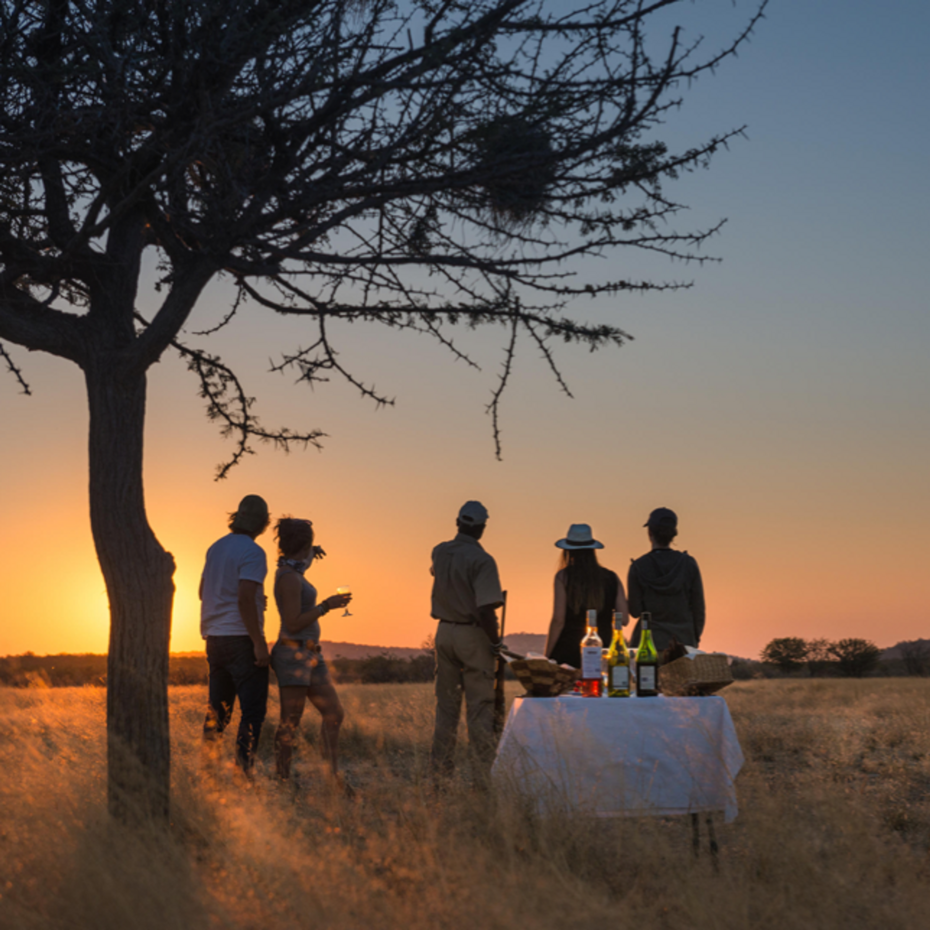 Experiences & Activities