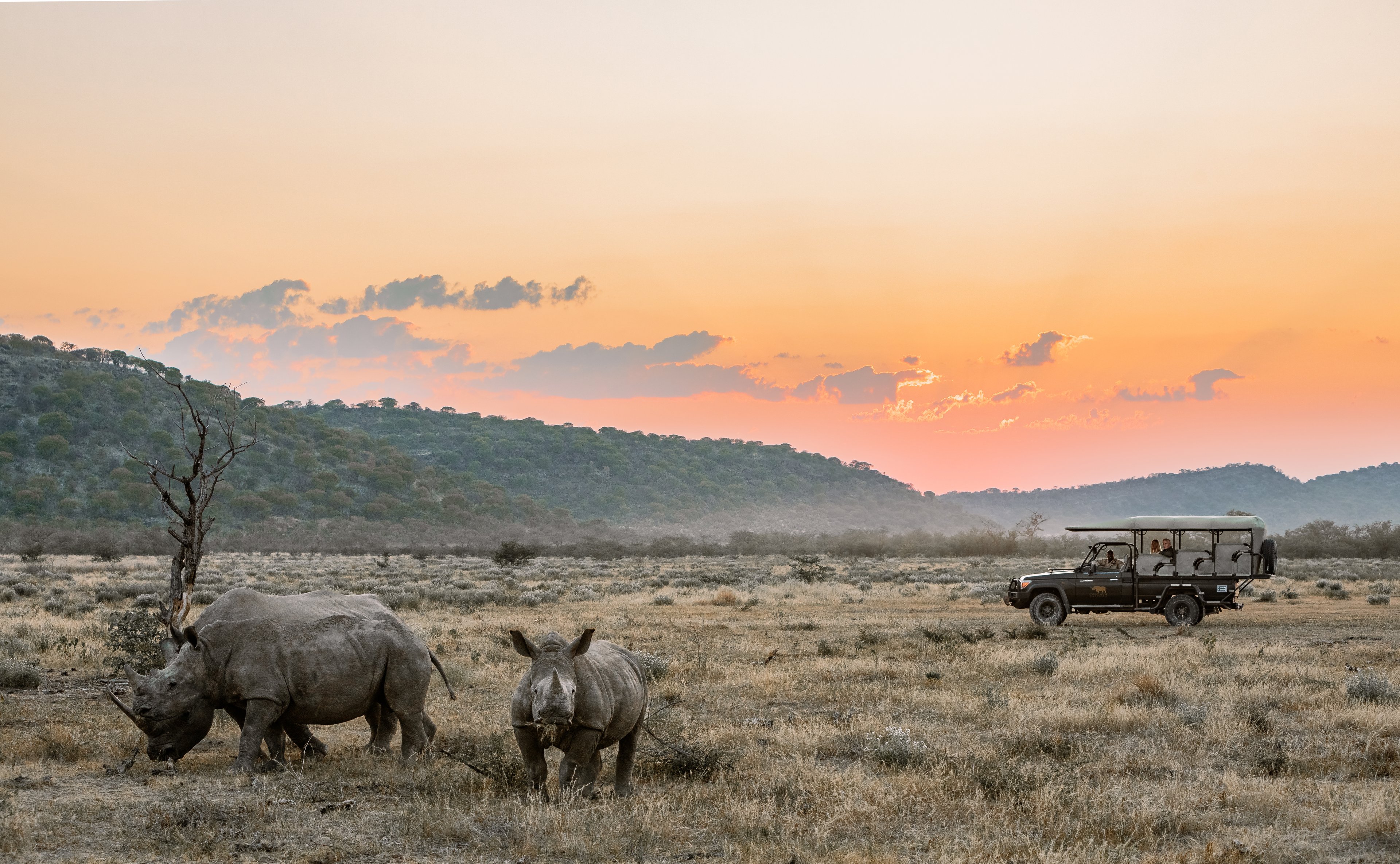Ongava Through Their Lens