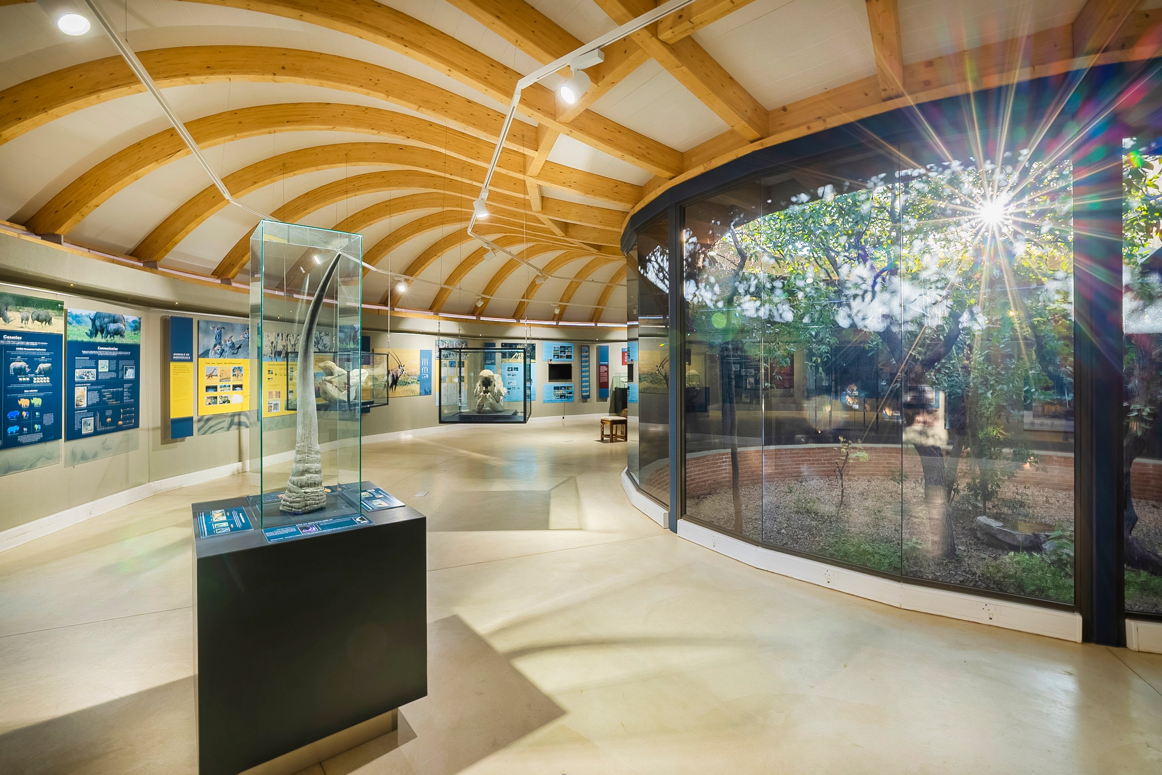 The Ongava Discovery Centre is a model of eco-tourism and a showcase for research.