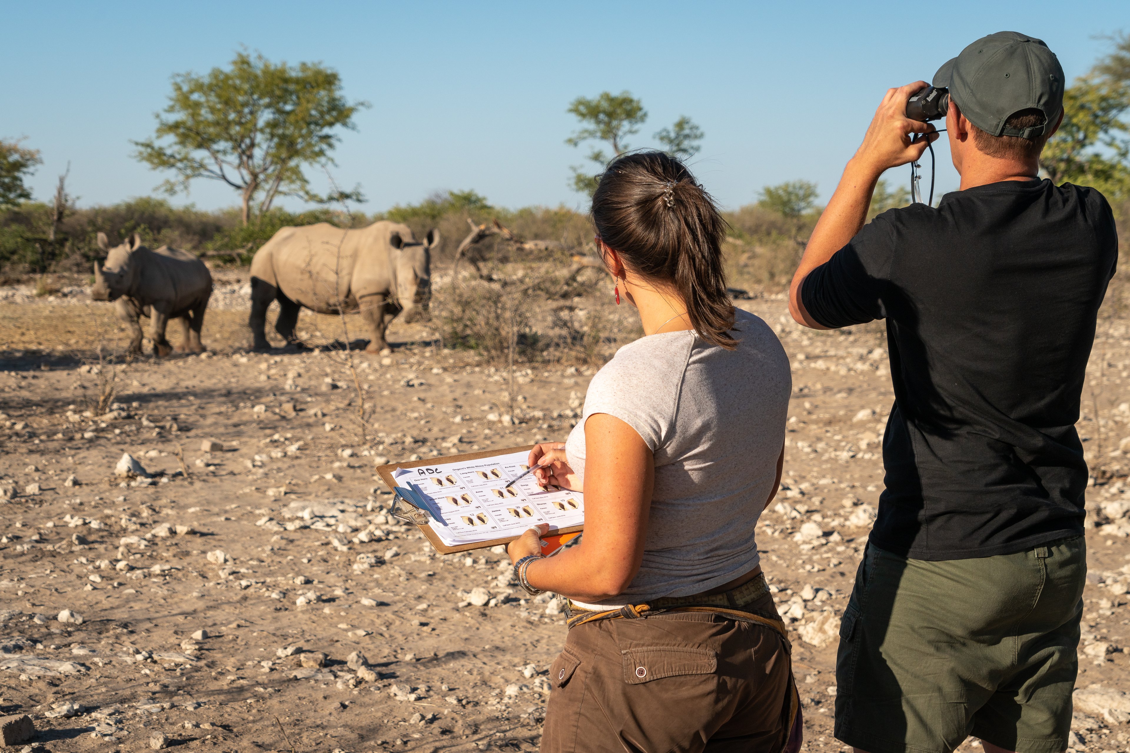 Every rhino at Ongava is carefully monitored to protect and conserve this threatened species. 