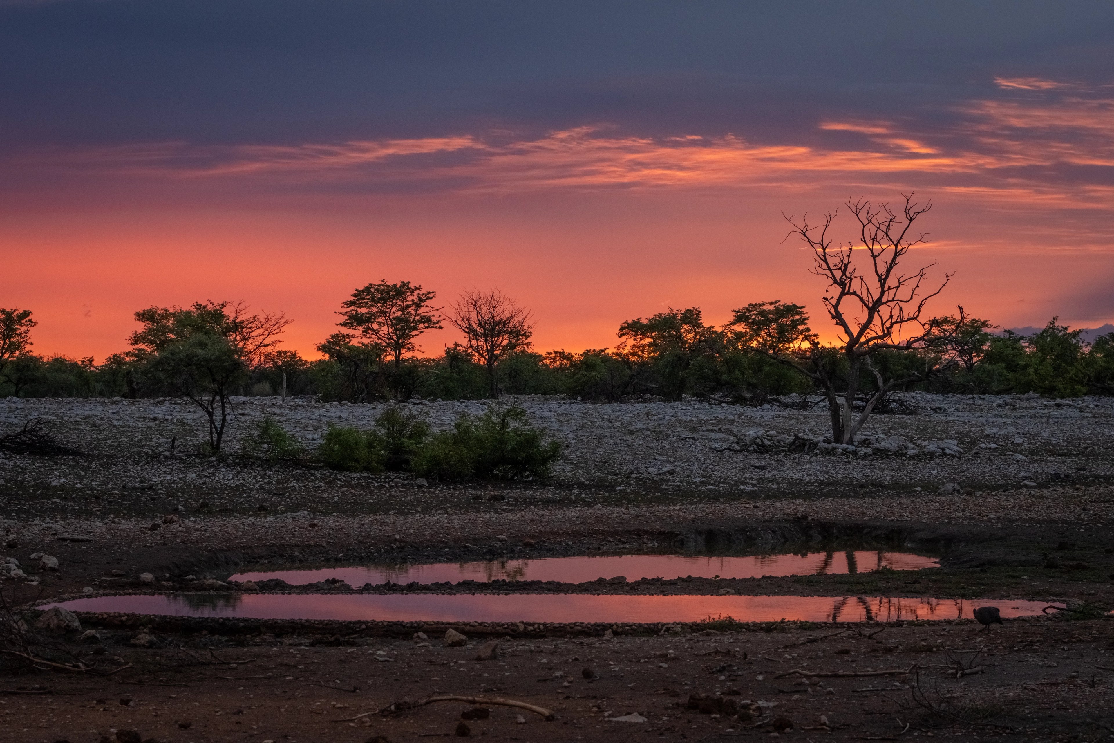 Magnificent Skyscape at Ongava