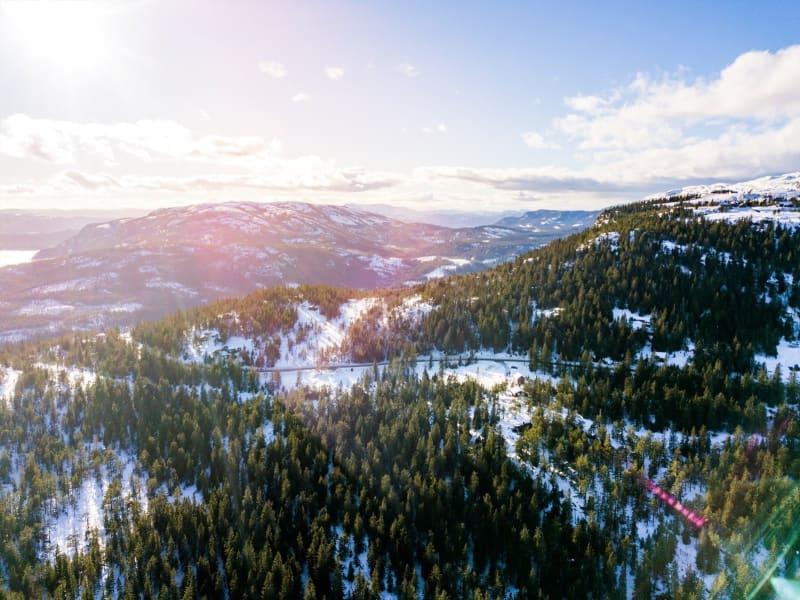 Lifjell Hyttegrend