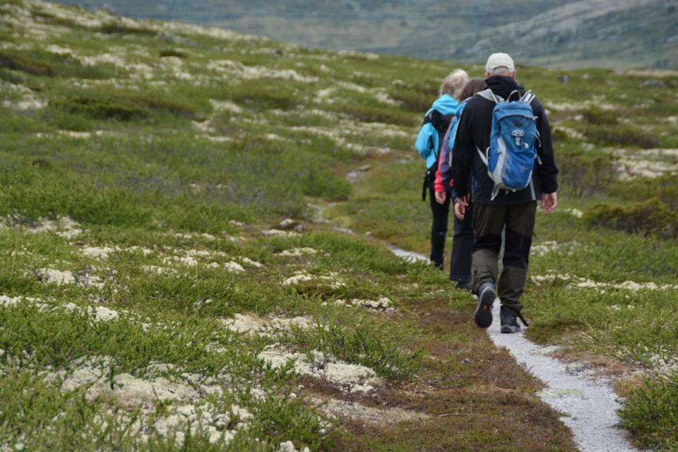 Muen Lodge Venabygdsfjellet, bilde 5