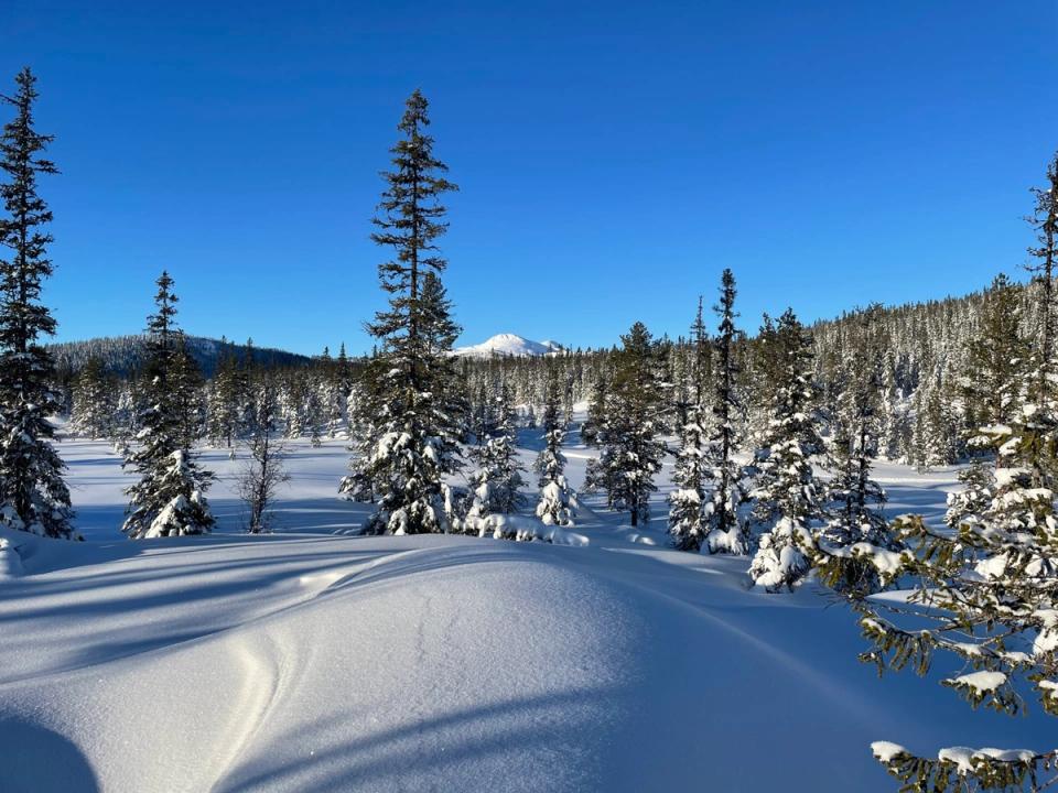 Langetjønn Tuddal, bilde 3