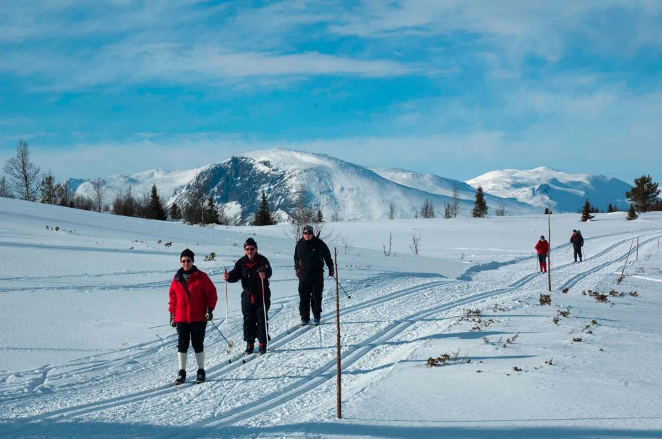 Løggelie Golsfjellet, bilde 4