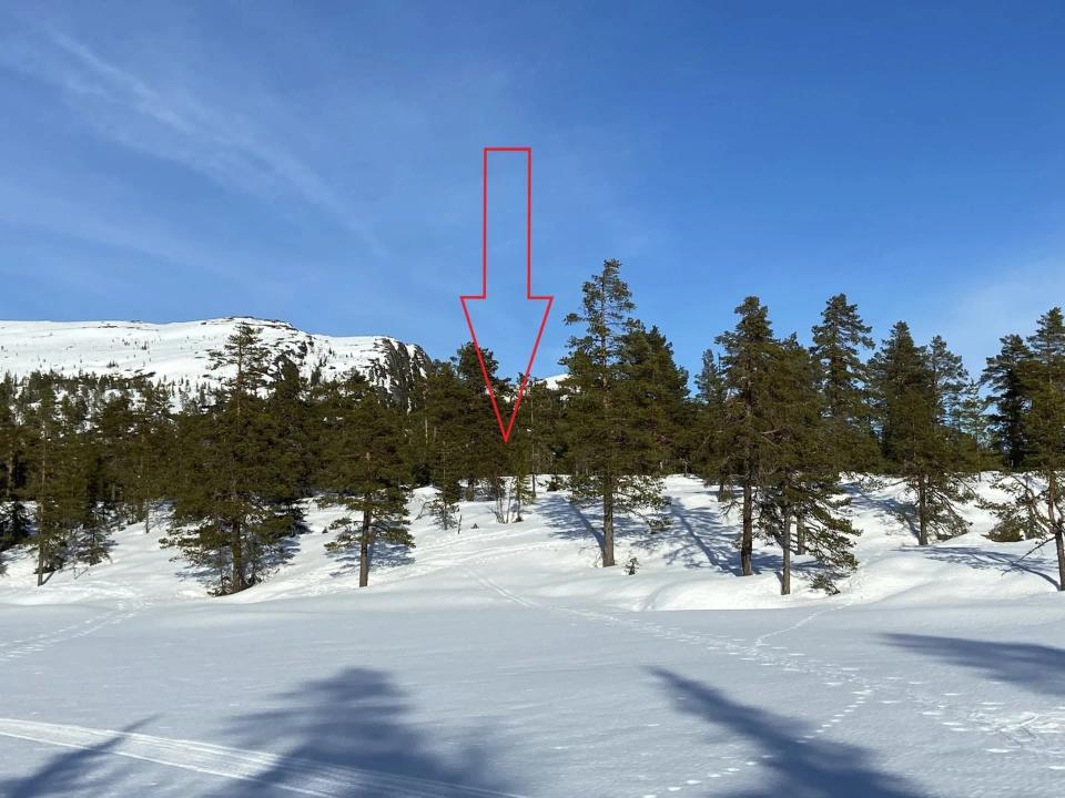 20 meter fra vann på Søtelifjell, bilde 2