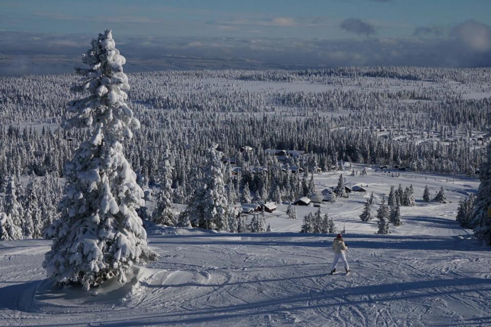Hedmarksvidda hyttegrend, bilde 4