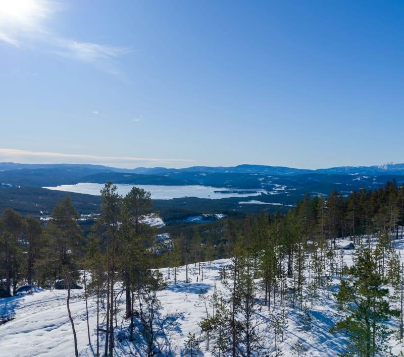 Store Blefjell
